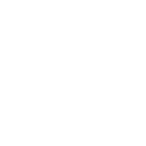 Distributor Partnership