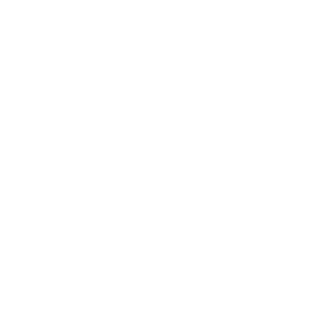 Manufacturing Services